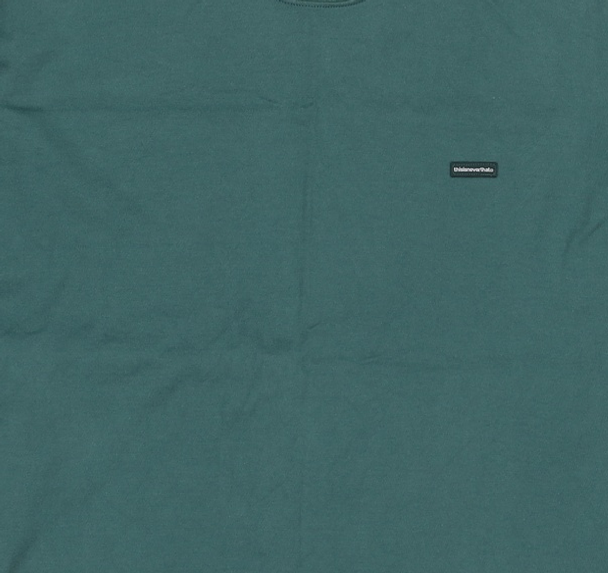 디스이즈네버댓(THISISNEVERTHAT) T.N.T. Classic HDP L/S Tee Forest L