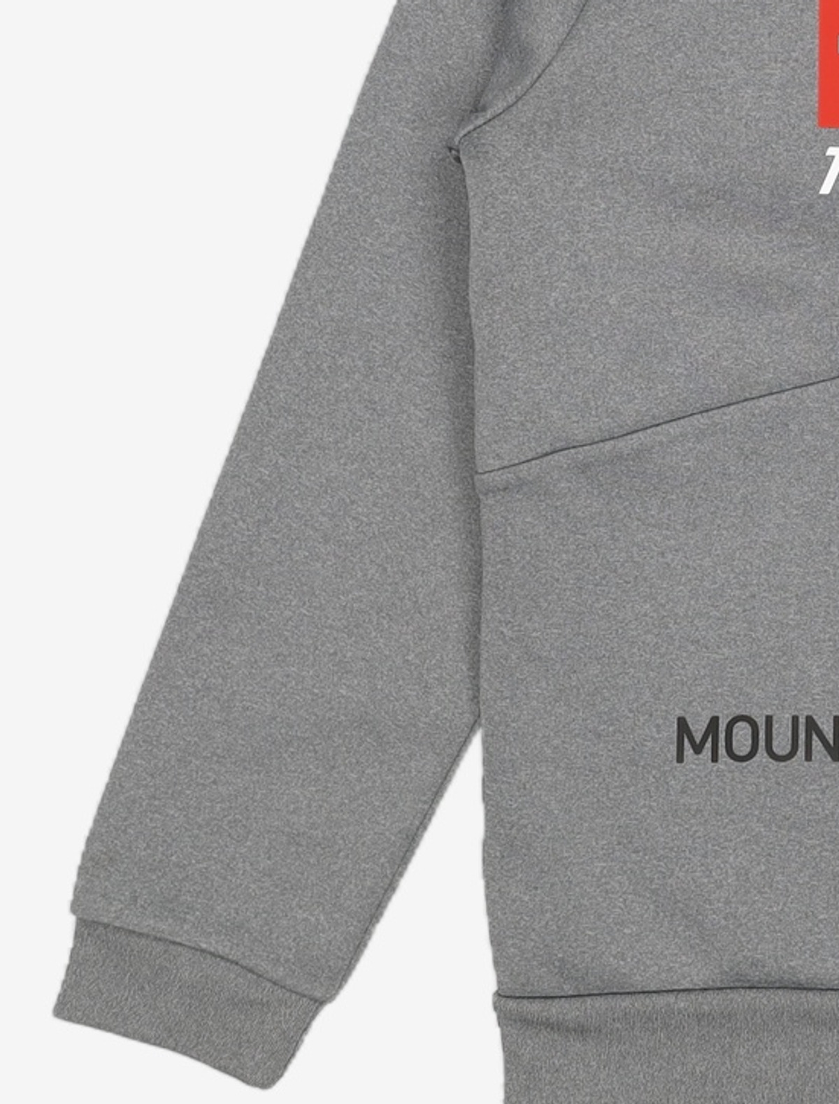 노스페이스(THE NORTH FACE) 후드 집업 100