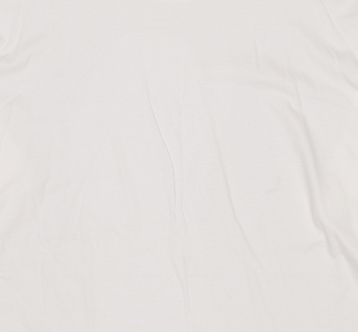 챔피온(CHAMPION) [패키지] 5.5oz 클래식 져지 긴팔티셔츠 XXL
