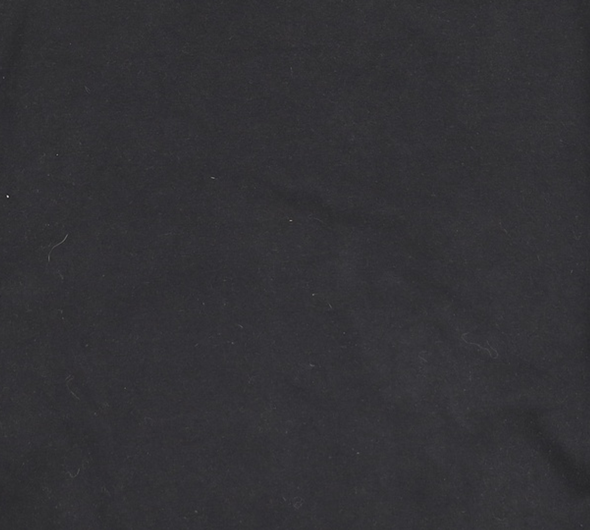 챔피온(CHAMPION) [US] C+Champion 로고 8.5oz Classic Fleece 기모 스웨트셔츠 (BLACK) CKTS1F600BK XXL