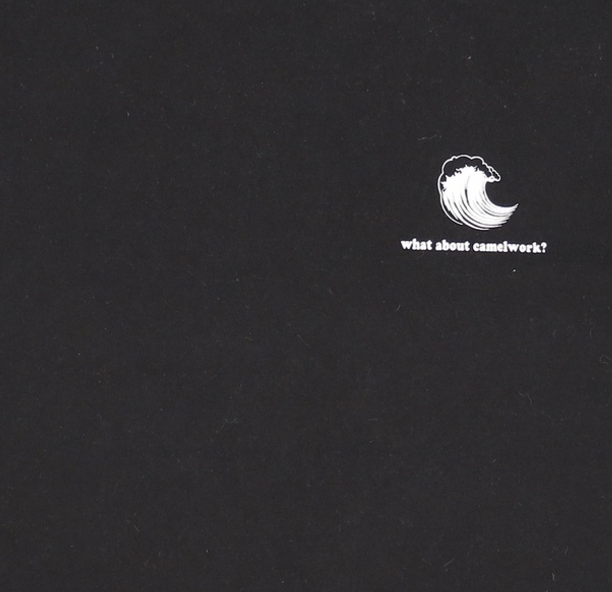 카멜워크(CAMEL WORK) 반소매 티셔츠 L