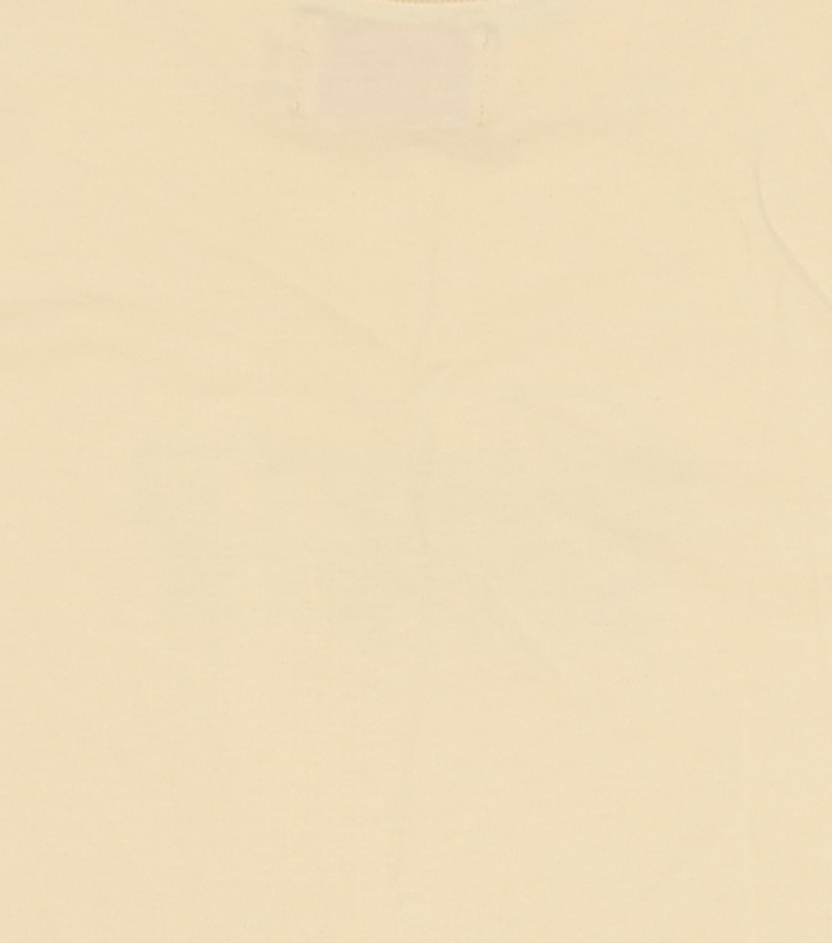 래비티 스포츠(RABBITTI SPORTS) RB Sports Logo Slim Fit T-Shirts Butter FREE