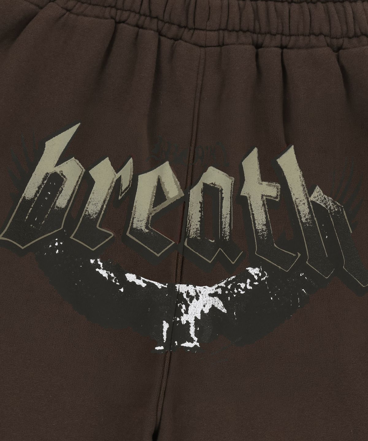 브라운브레스(BROWNBREATH) BB EAGLE GRAPHIC SHORTS - BROWN