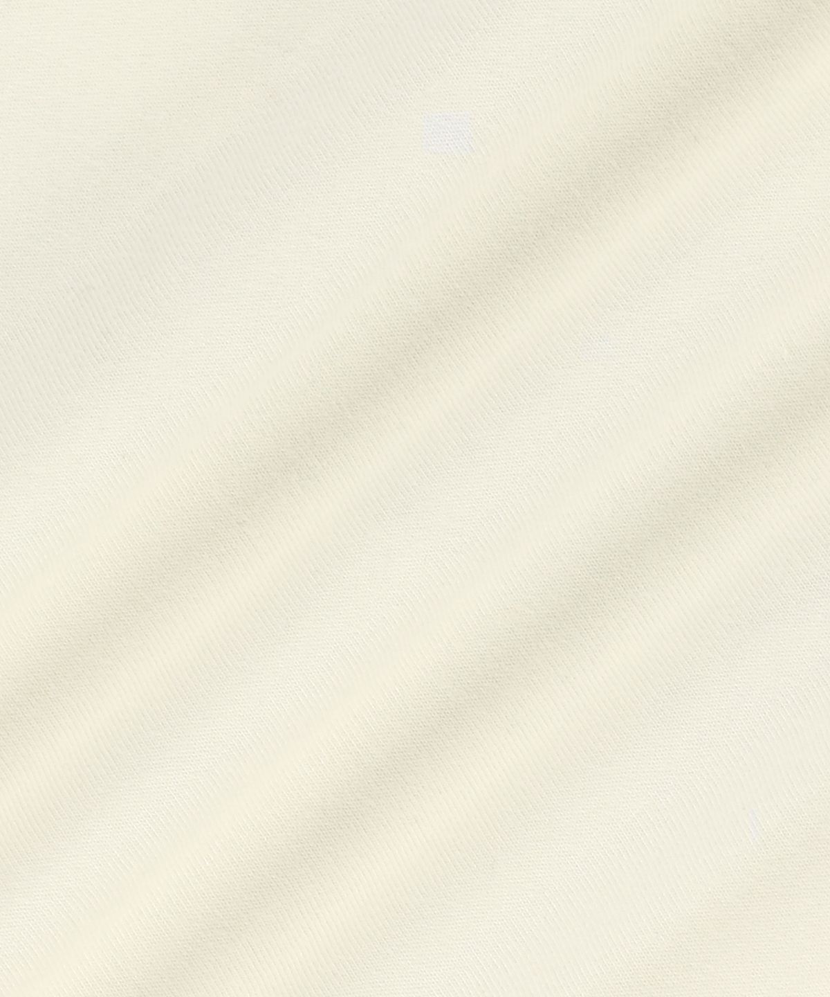 브라운브레스(BROWNBREATH) BB HERITAGE EAGLE TAG TEE - CREAM