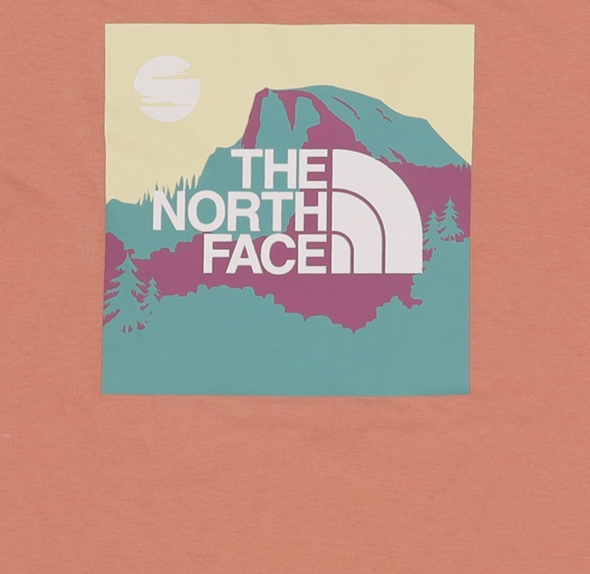 노스페이스(THE NORTH FACE) 반소매 티셔츠 S