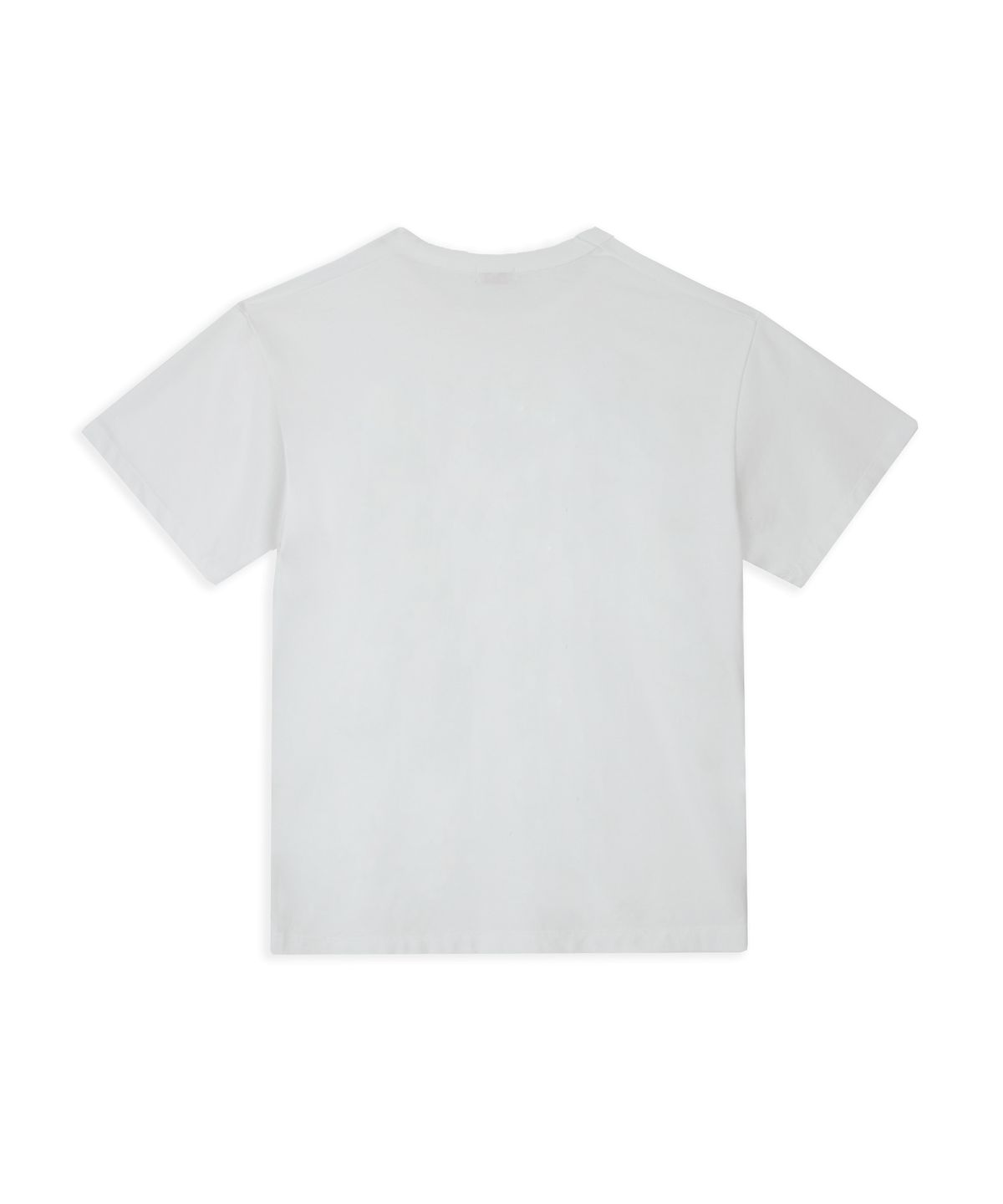 1011갤러리(1011 GALLERY) California Bear T-shirts - Ivory