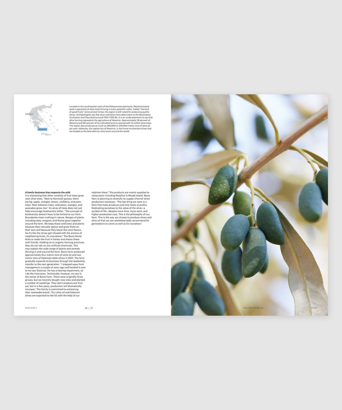 매거진 B(MAGAZINE B) F Issue#22 OLIVE