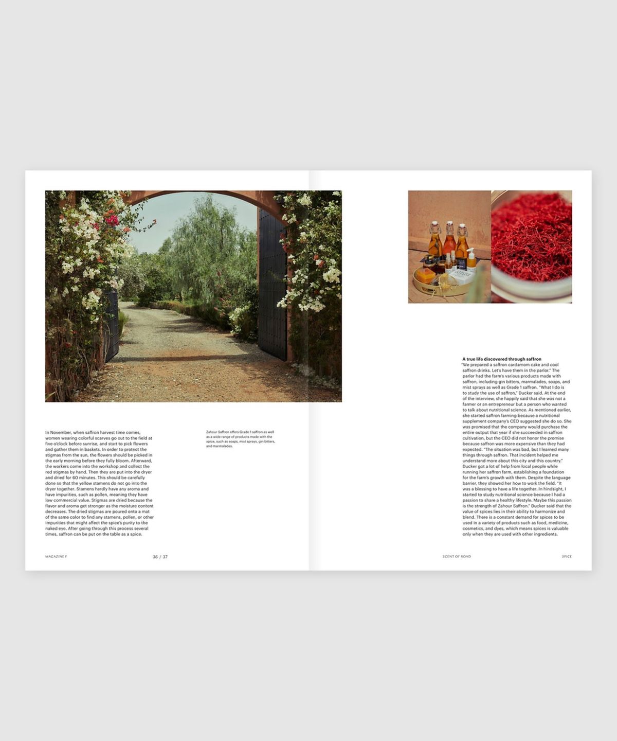 매거진 B(MAGAZINE B) F Issue#28 SPICE