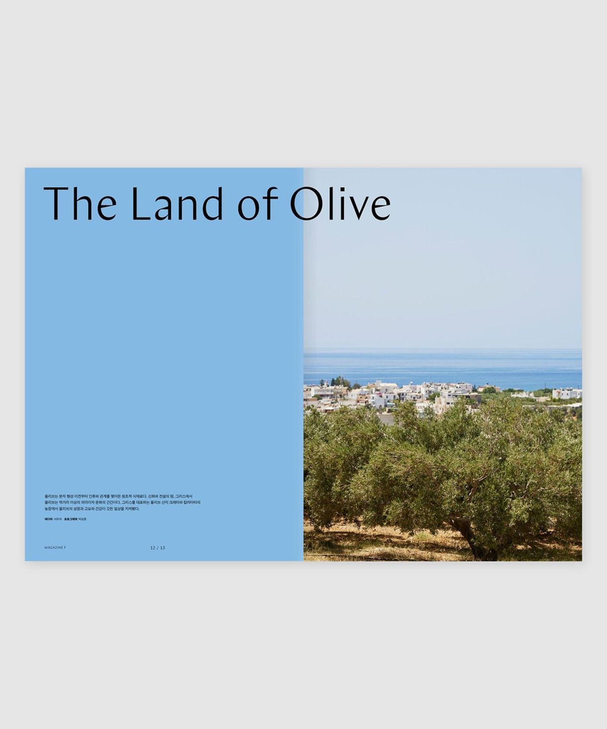 매거진 B(MAGAZINE B) F Issue#22 OLIVE (국문)
