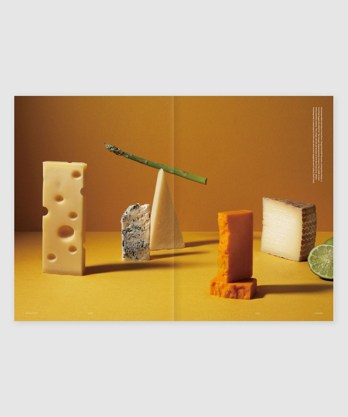 매거진 B(MAGAZINE B) F Issue#02 CHEESE