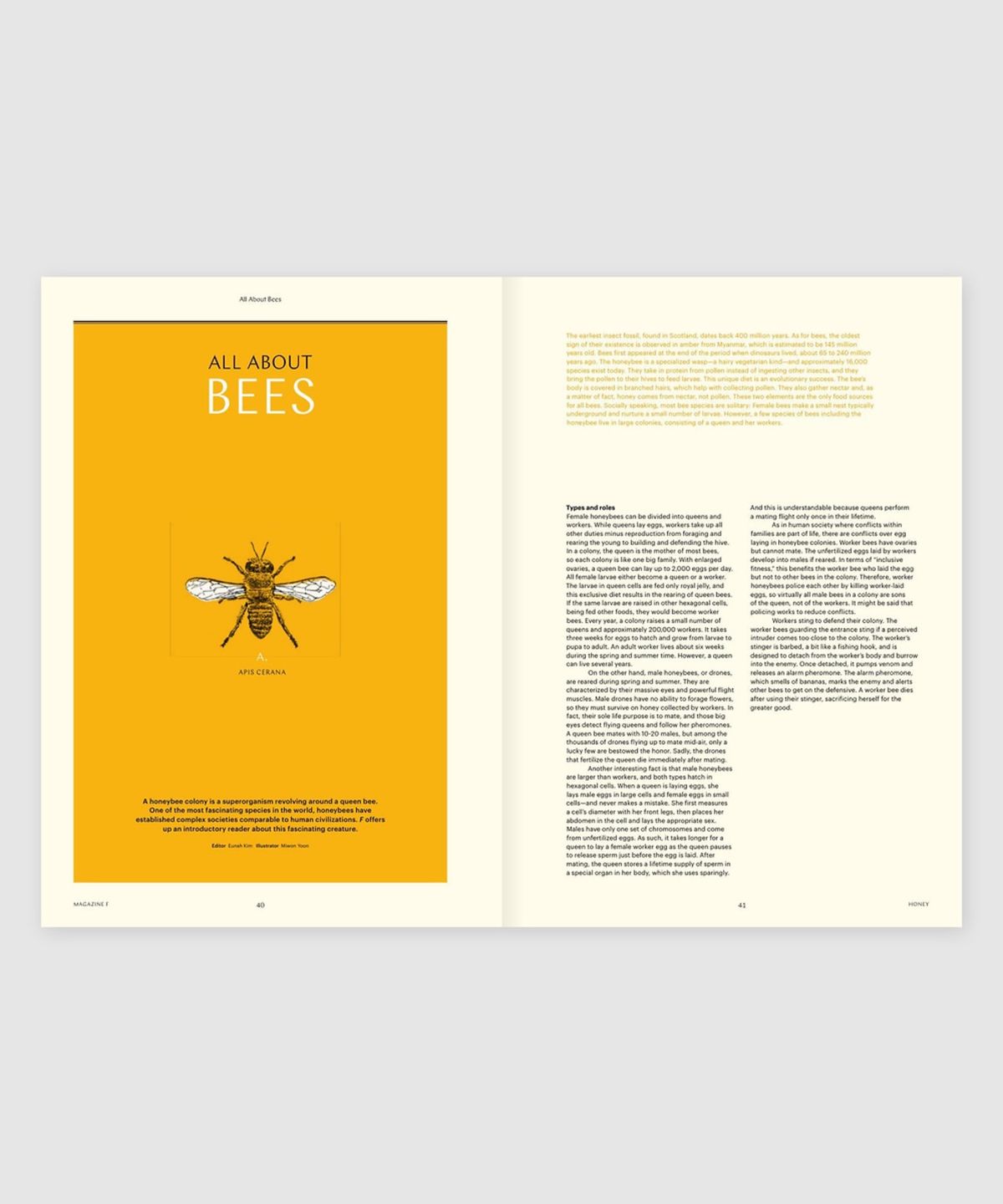 매거진 B(MAGAZINE B) F Issue#08 HONEY