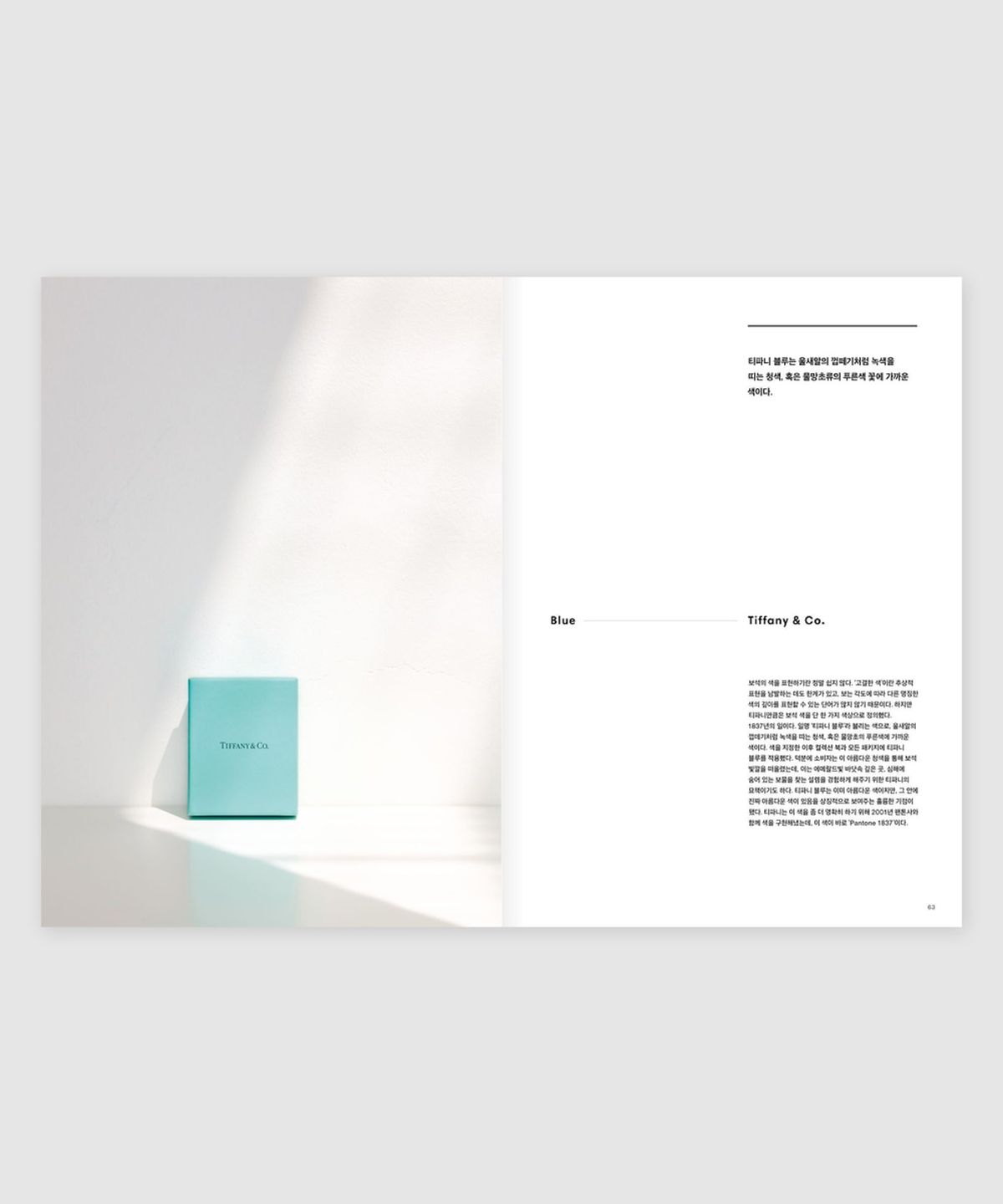 매거진 B(MAGAZINE B) B Issue#46 PANTONE (국문)