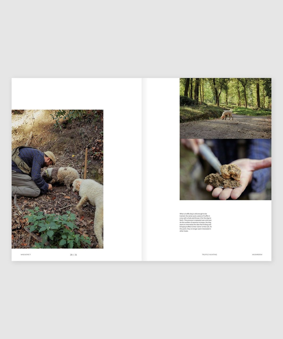 매거진 B(MAGAZINE B) F Issue#23 MUSHROOM