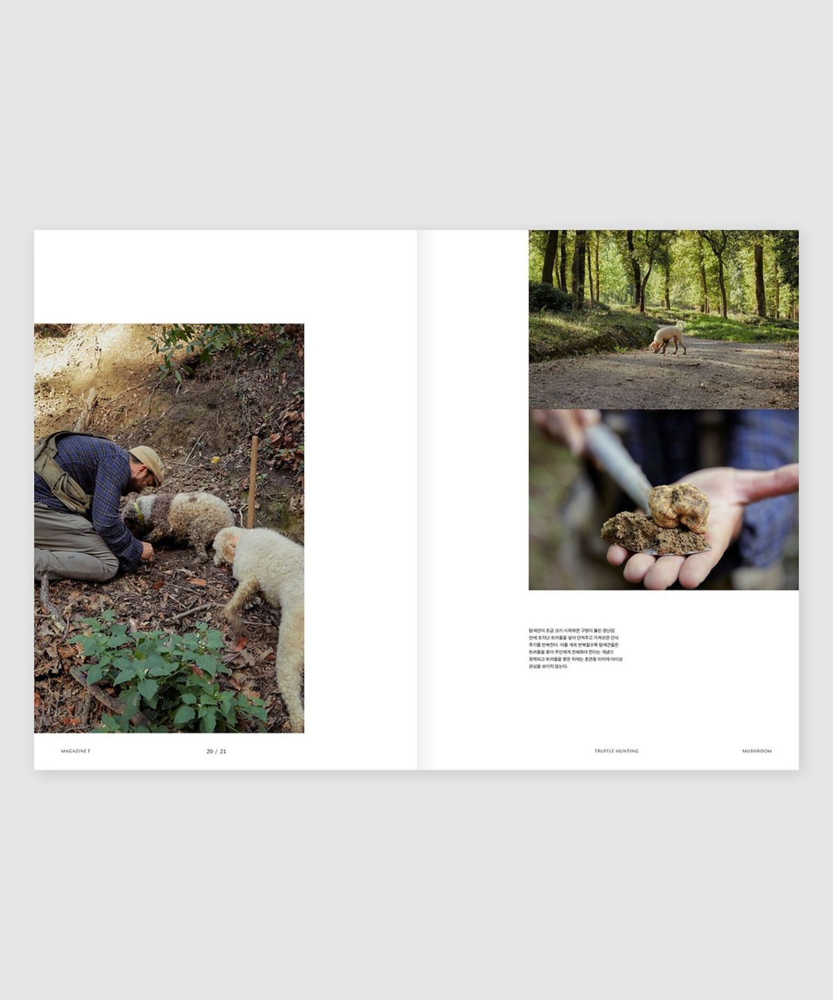 매거진 B(MAGAZINE B) F Issue#23 MUSHROOM (국문)