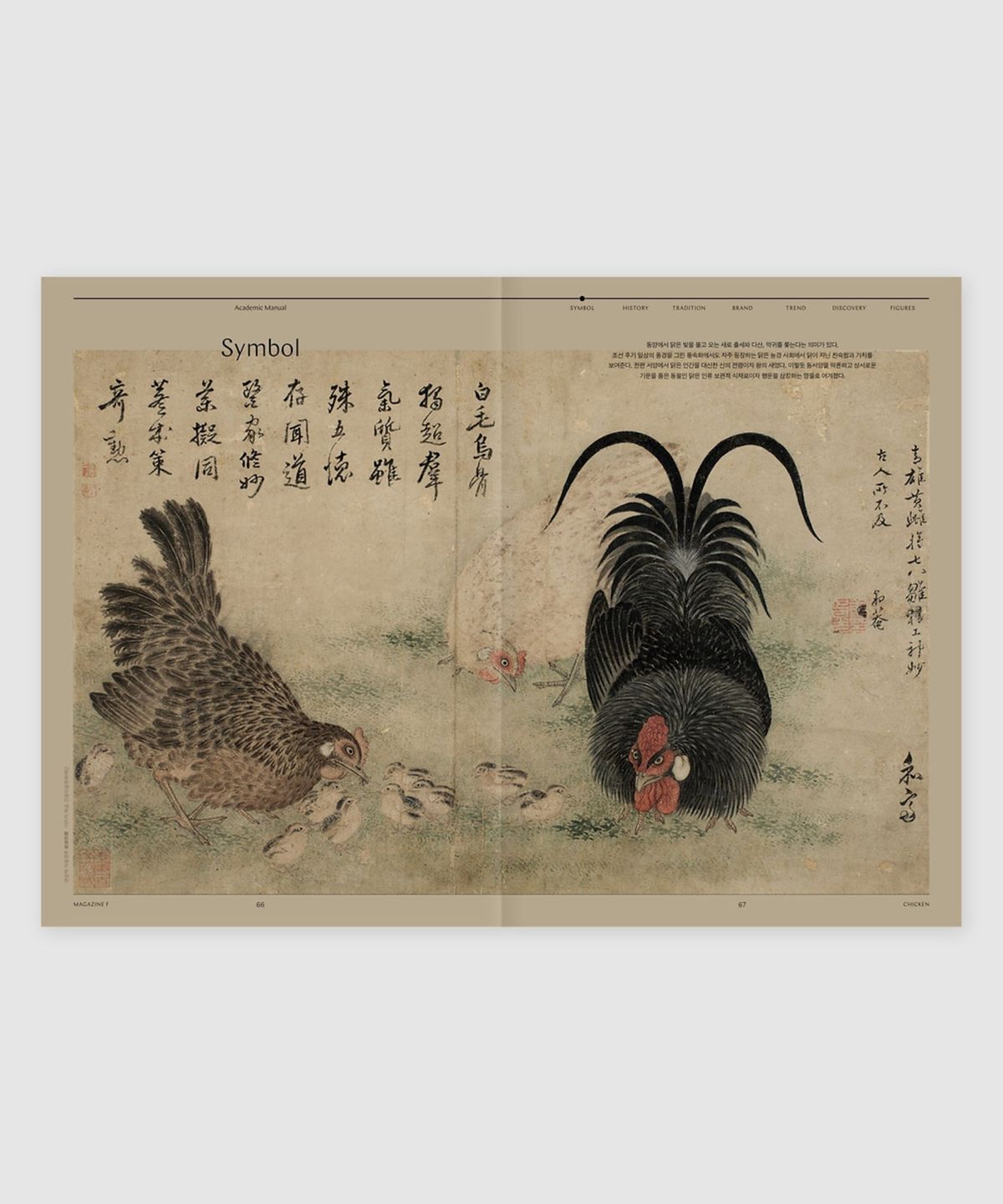 매거진 B(MAGAZINE B) F Issue#03 CHICKEN (국문)