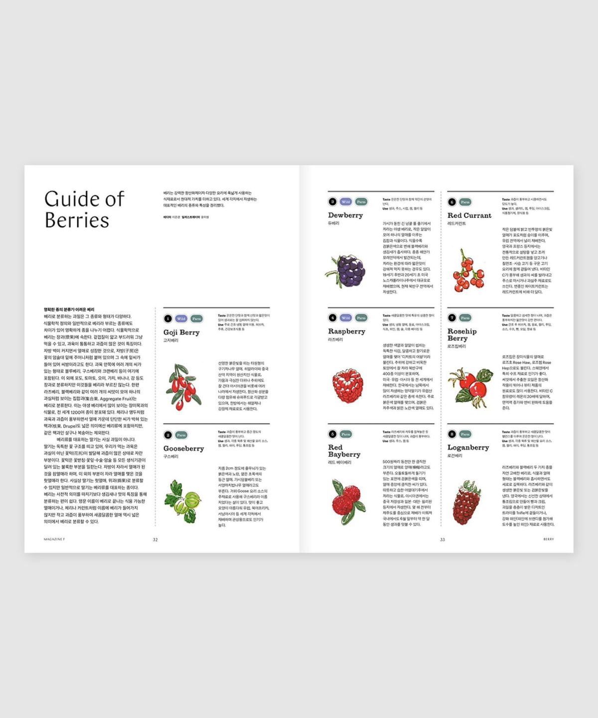 매거진 B(MAGAZINE B) F Issue#10 BERRY(국문)