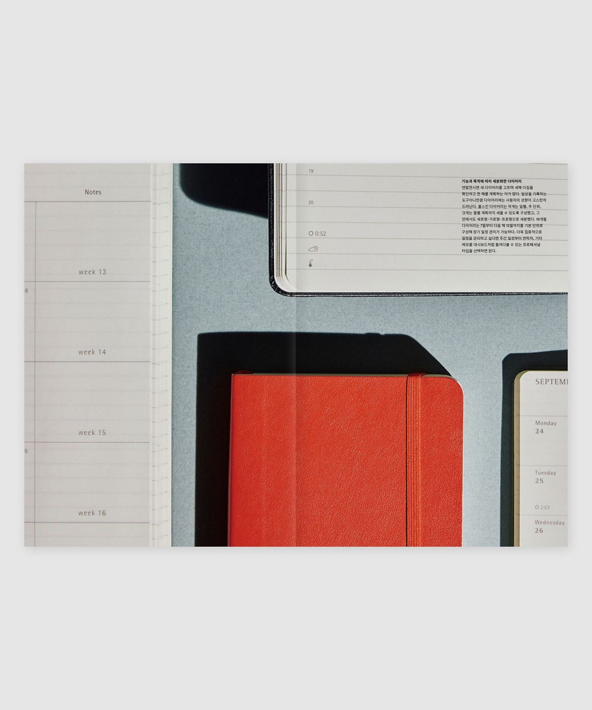 매거진 B(MAGAZINE B) B Issue#62 MOLESKINE (국문)