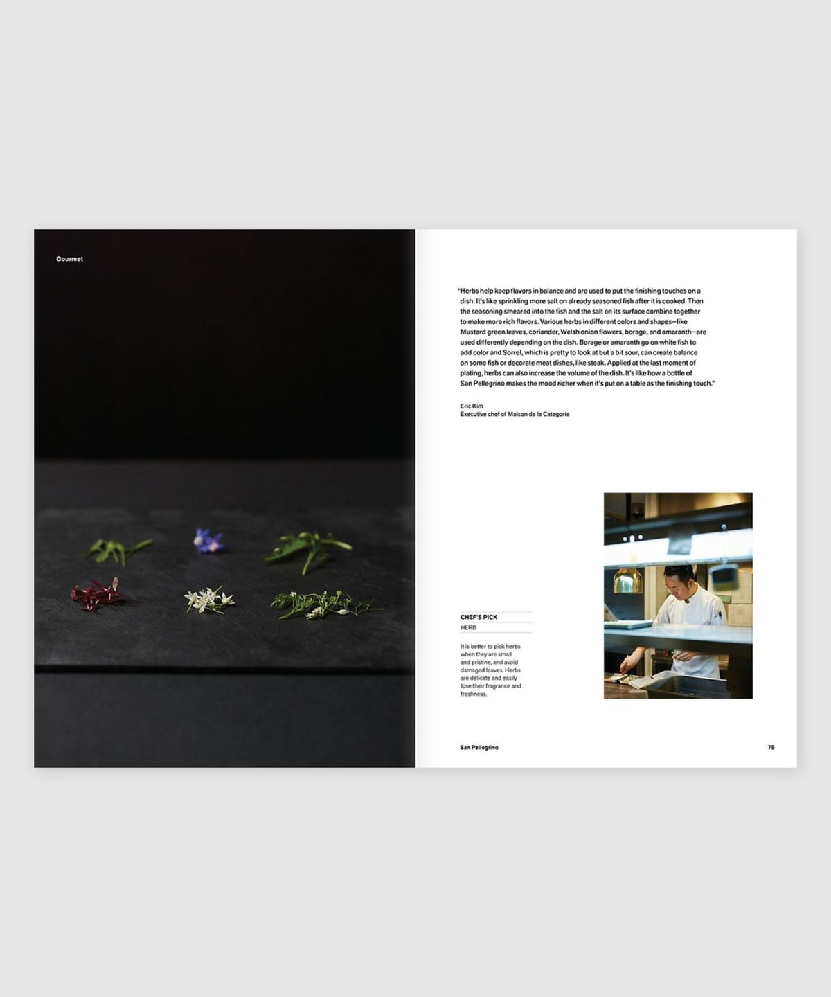 매거진 B(MAGAZINE B) B Issue#40 SAN PELLEGRINO