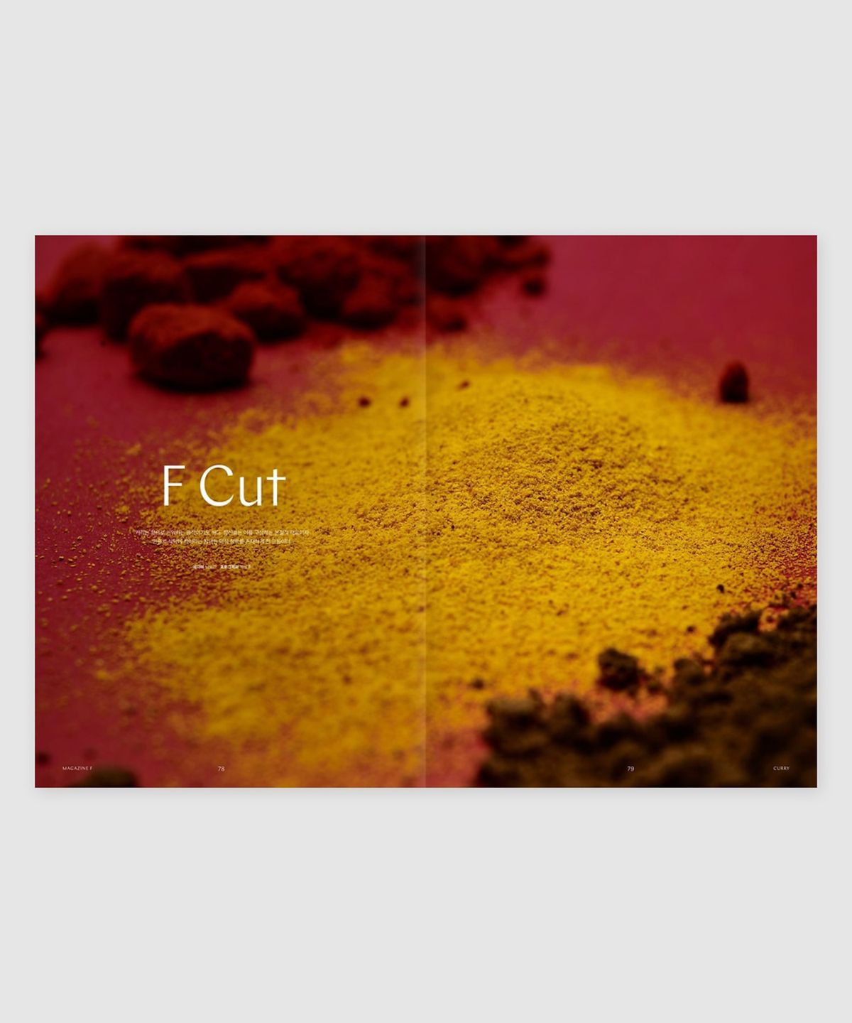 매거진 B(MAGAZINE B) F Issue#09 CURRY(국문)