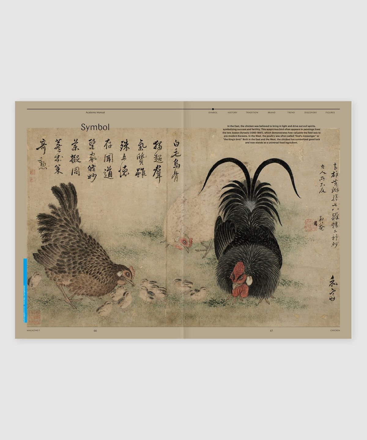 매거진 B(MAGAZINE B) F Issue#03 CHICKEN