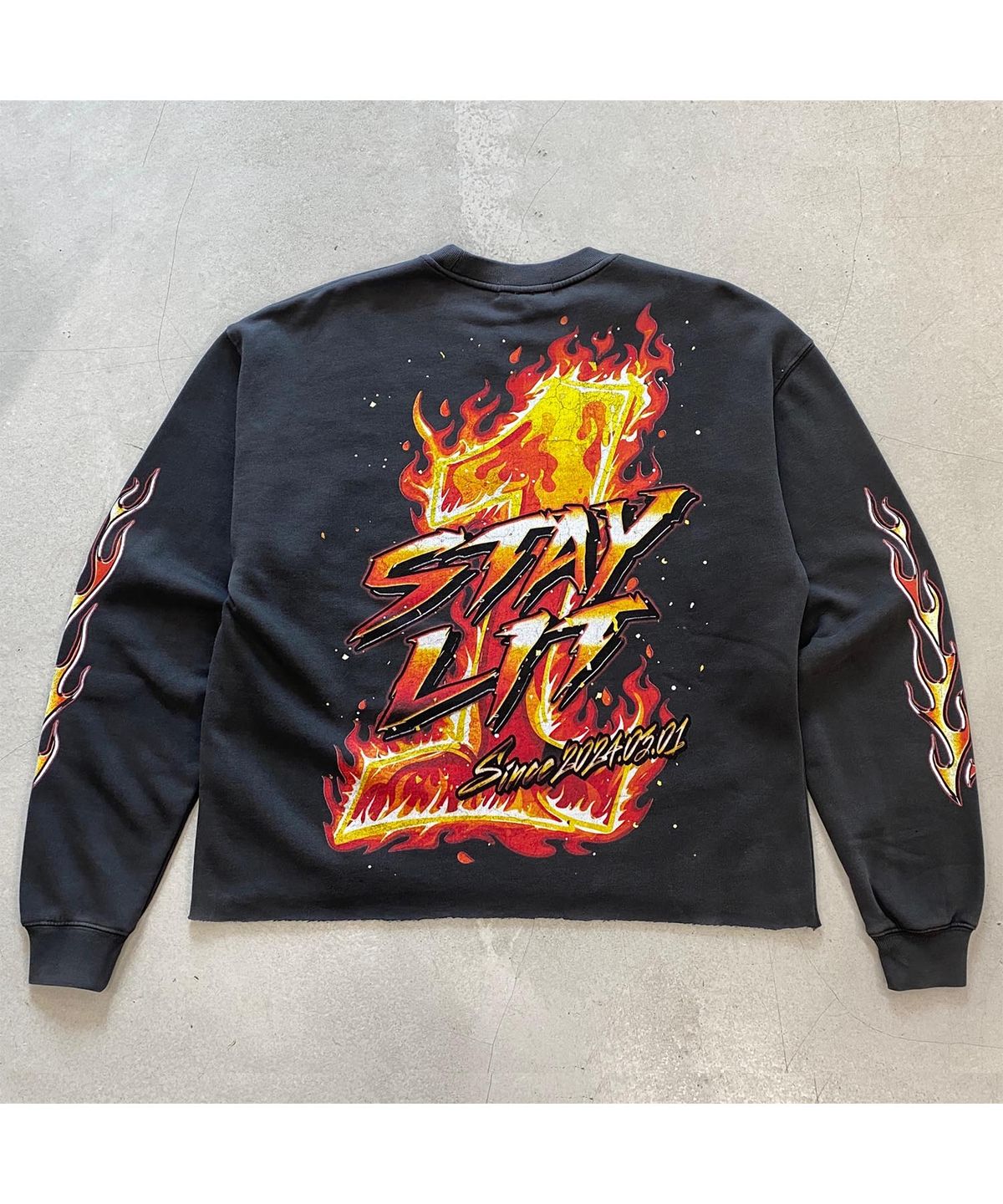 하운드빌(HOUND VILLE) Flame logo cropped Crewneck