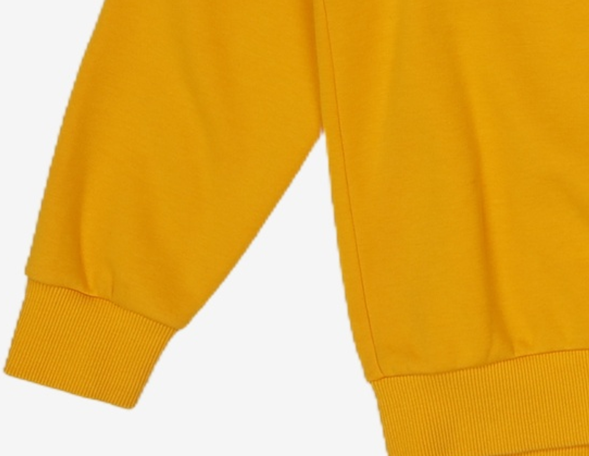 르꼬끄 스포르티브(LE COQ SPORTIF) 맨투맨/스웨트셔츠 L