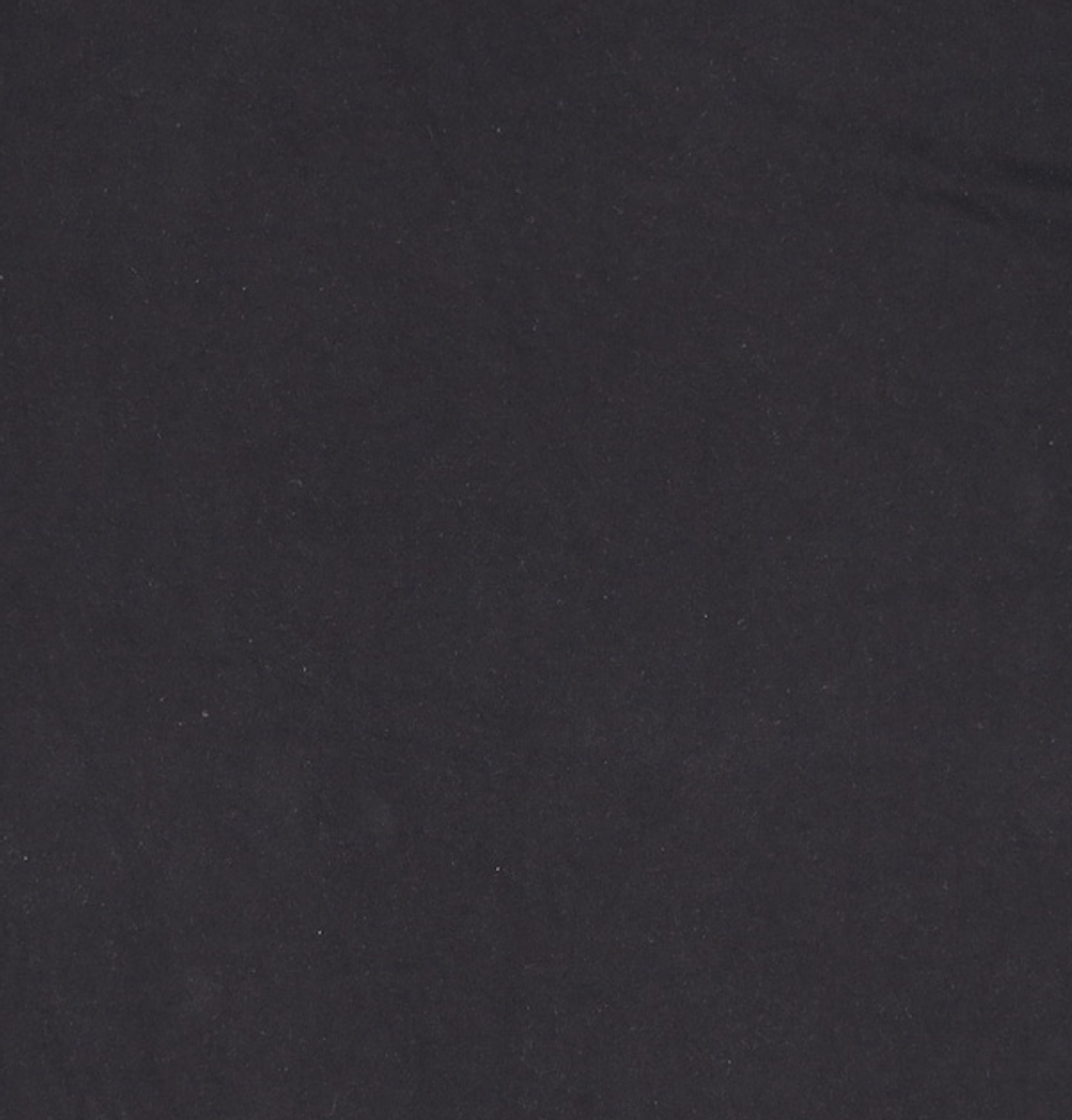챔피온(CHAMPION) [US] C로고 Heritage 반팔 티셔츠 (BLACK) CKTS1E216BK L