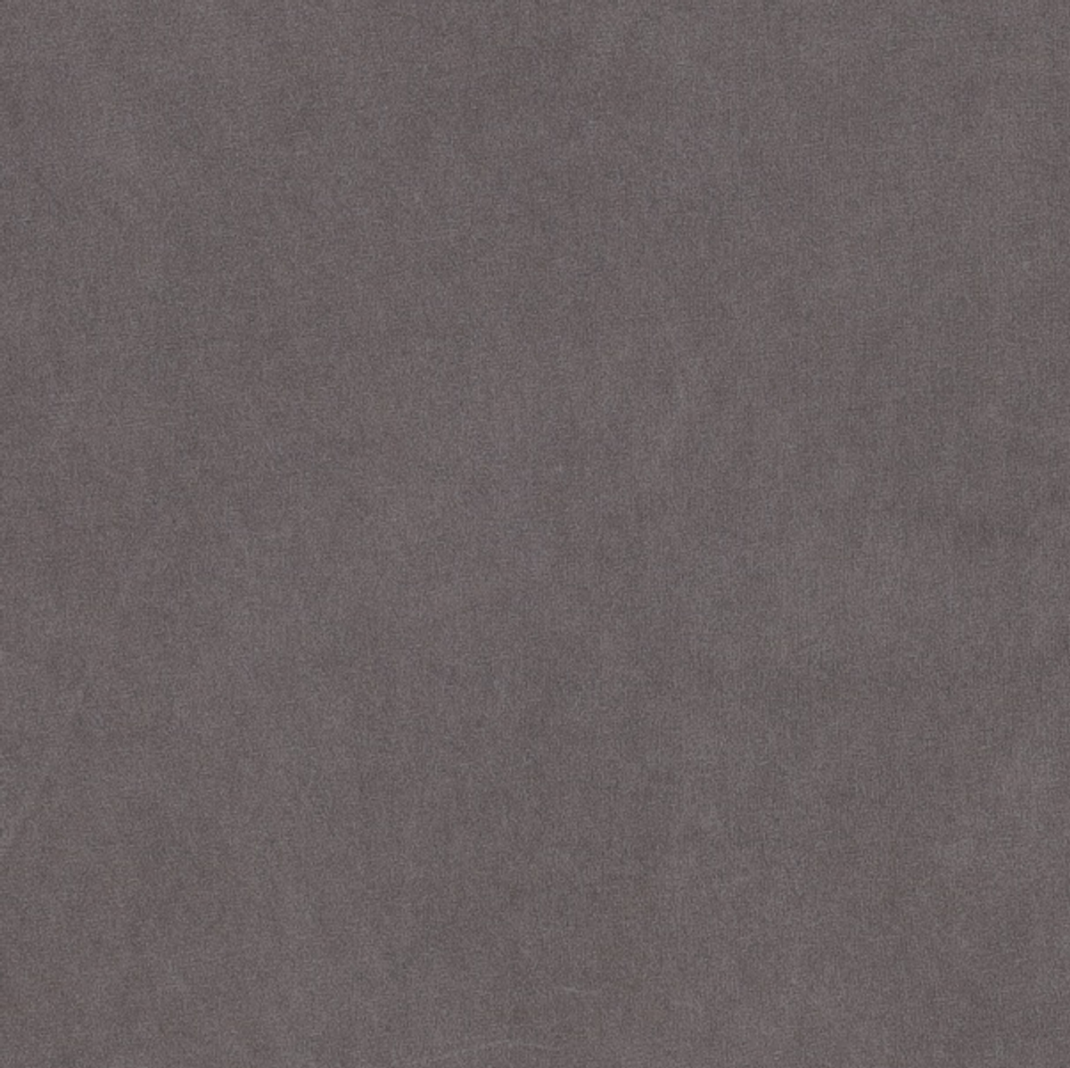 카네이테이(KANEITEI) 반소매 티셔츠 L