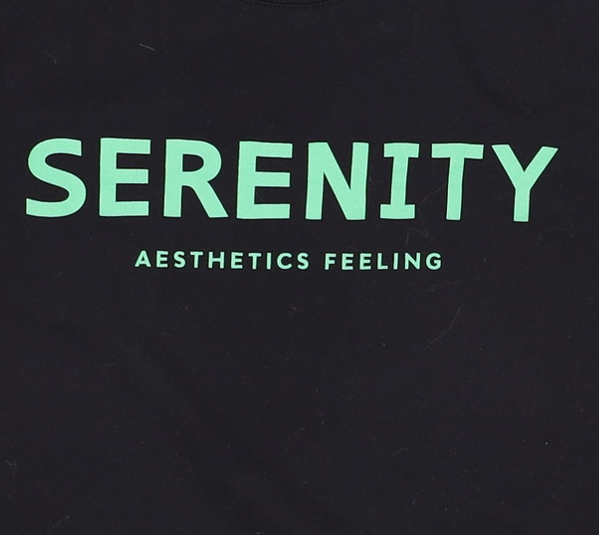세레니티(Serenity) 반소매 티셔츠 66