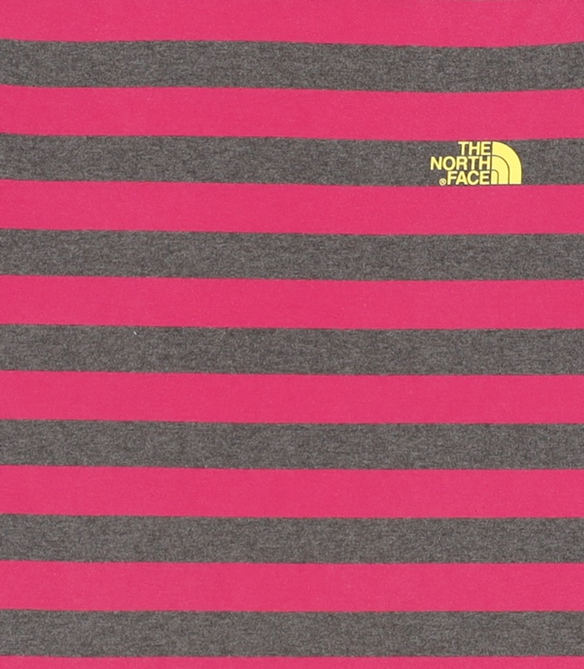 노스페이스(THE NORTH FACE) 반소매 티셔츠 100