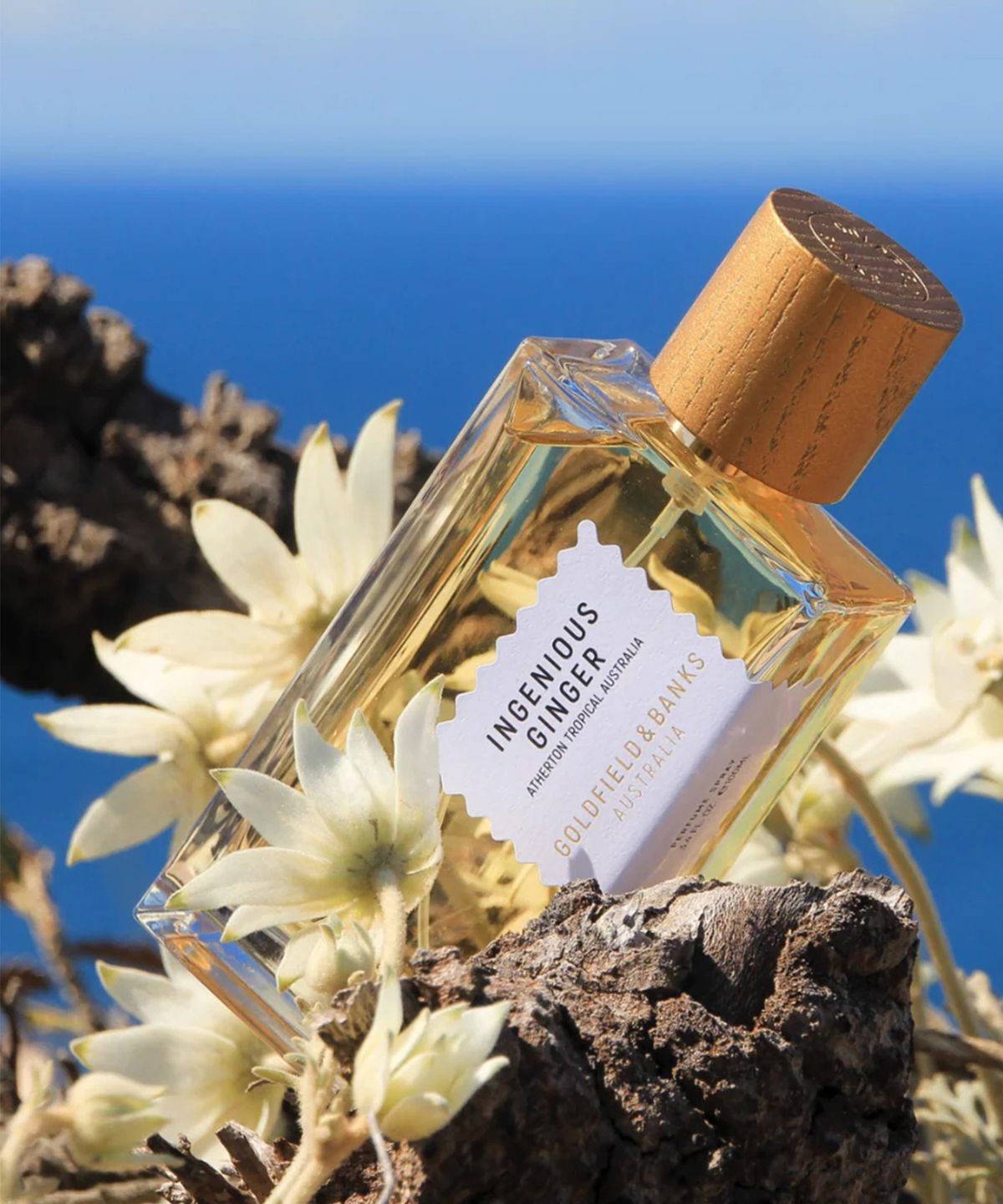 골드필드 앤 뱅크스(GOLDFIELD&BANKS) 인지니어스 진저 50ml