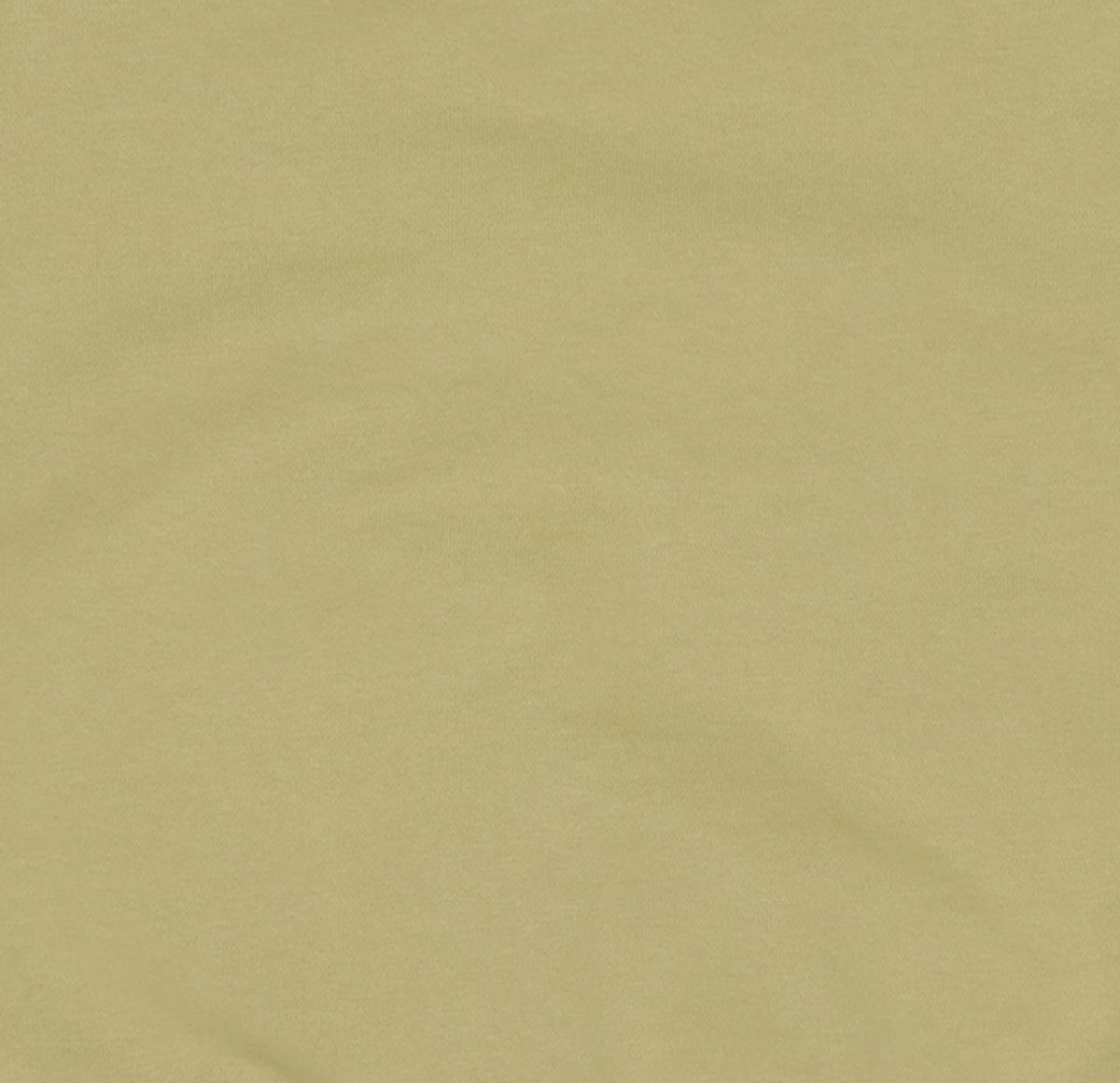 마리떼 프랑소와 저버(MARITHÉ + FRANҪOIS GIRBAUD) W FUZZY LOGO CROP SWEATSHIRT light olive M