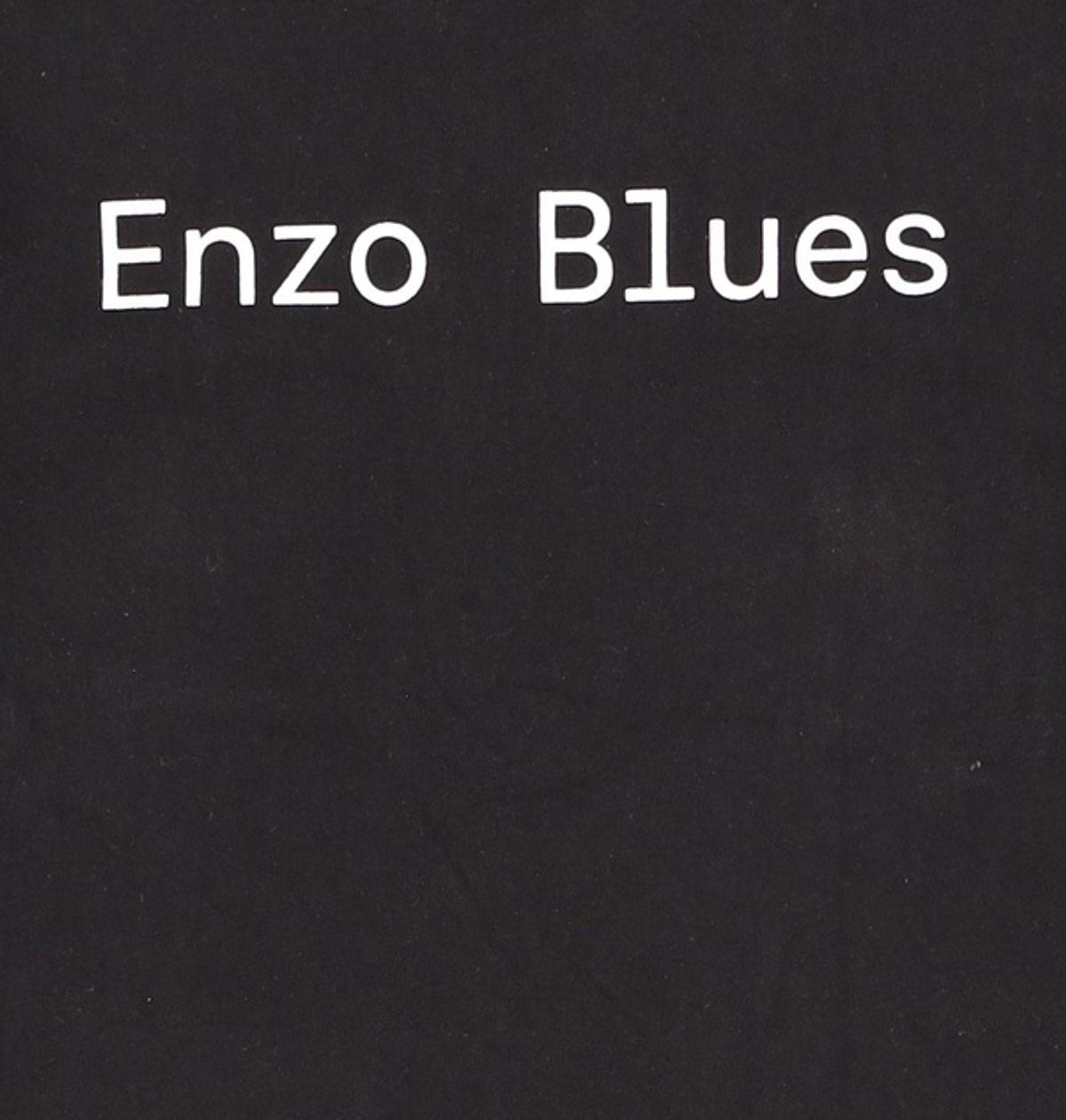 엔조 블루스(ENZO BLUES) 반소매 티셔츠 L