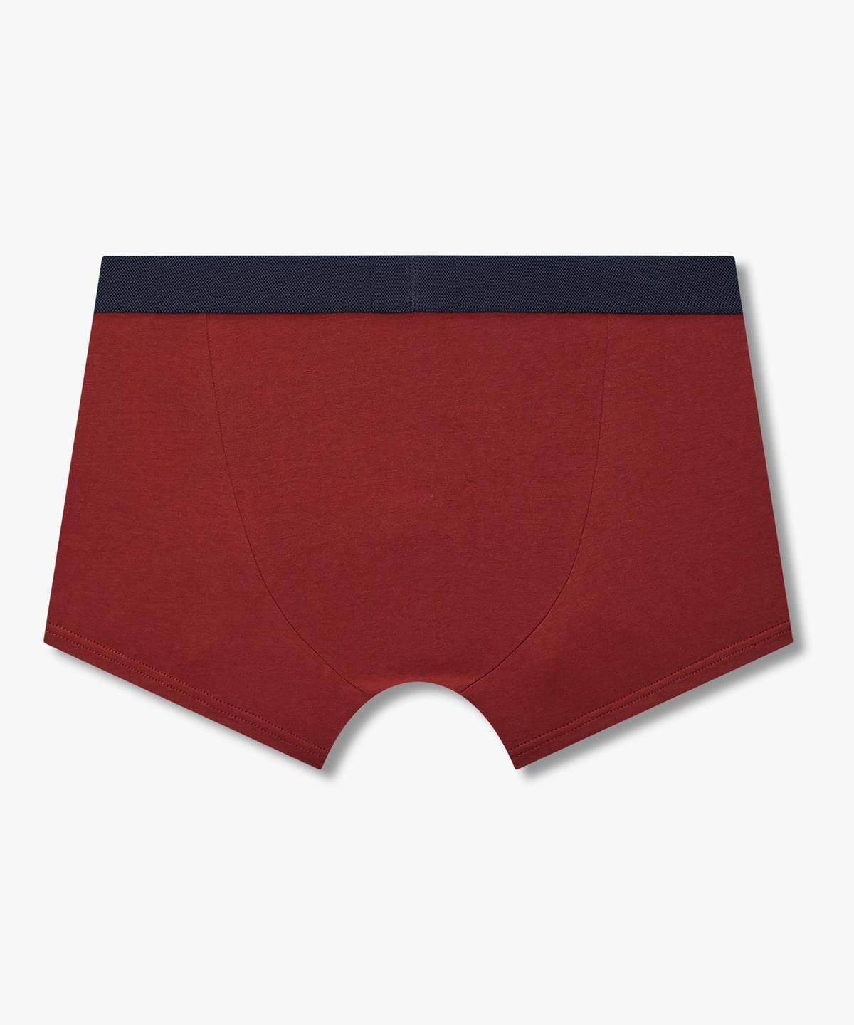 엠포리오 아르마니 언더웨어(EMPORIO ARMANI UNDERWEAR) 남성 배색 트림 로고 밴딩 드로즈_브릭 0816312006