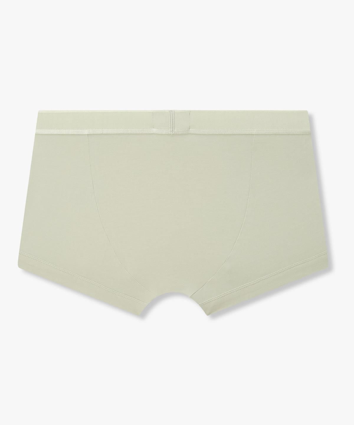 엠포리오 아르마니 언더웨어(EMPORIO ARMANI UNDERWEAR) 남성 톤온톤 자카드 로고 드로즈_라이트 그린 0816312059