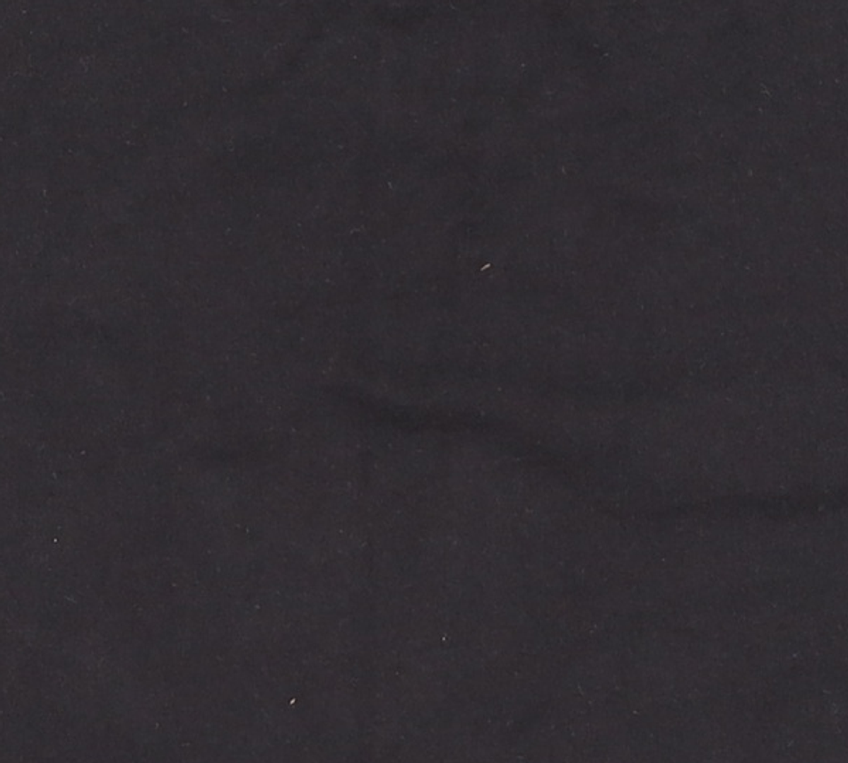 델리센트(DELICCENT) 시그니처 크롭 티셔츠 [BLACK] FREE