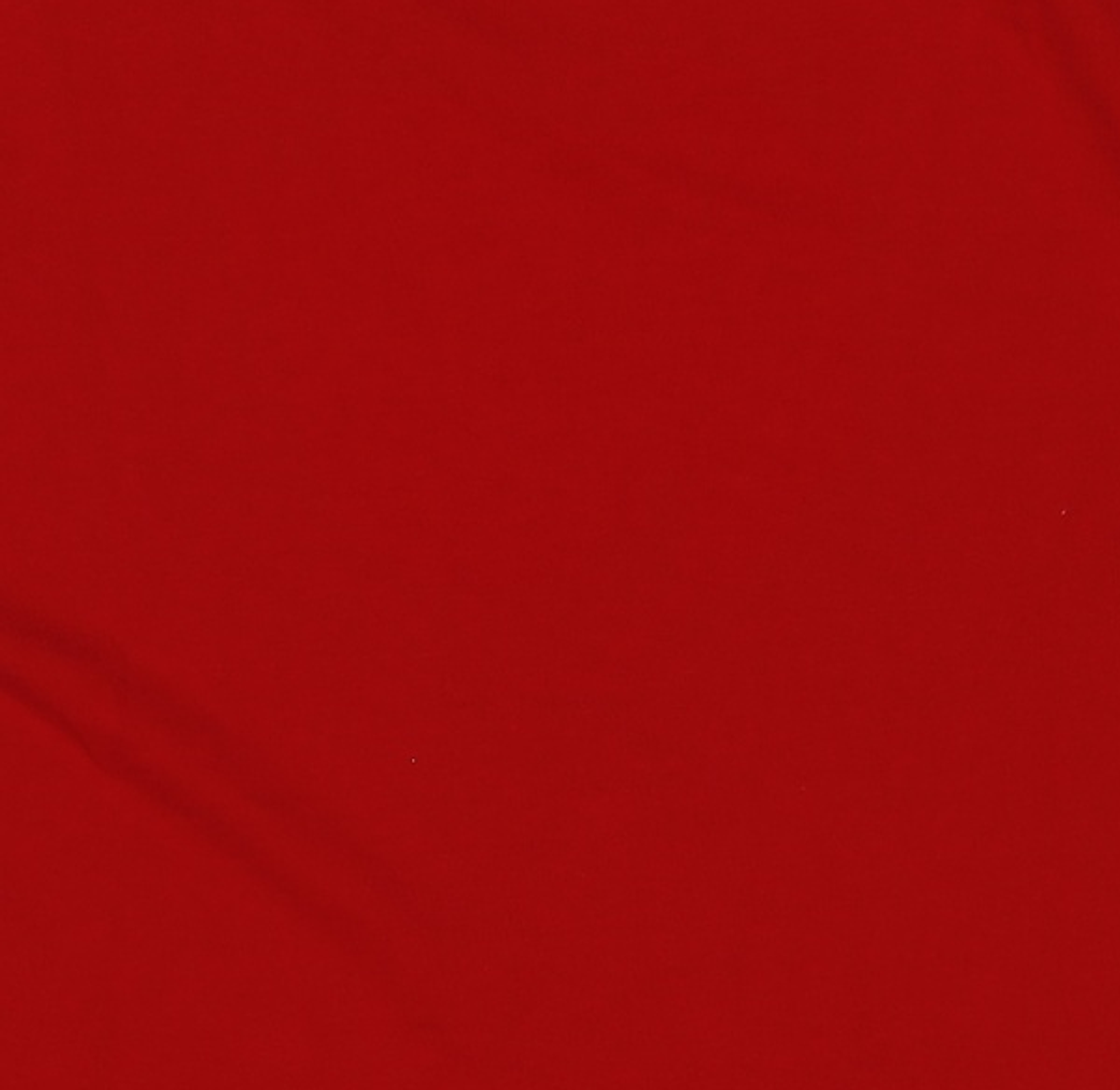 킴스 프레시 코튼 마켓(KIMS FRESH COTTON MARKET) (Unisex) Kims Bam Logo Tee Red F
