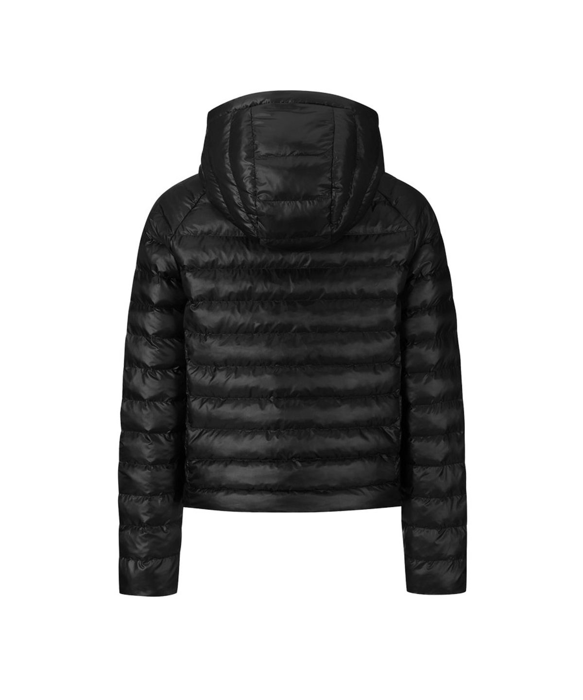 디스커버리 익스페디션(DISCOVERY EXPEDITION) 여성 웰니스 경량 크롭 패딩자켓 (BLACK)