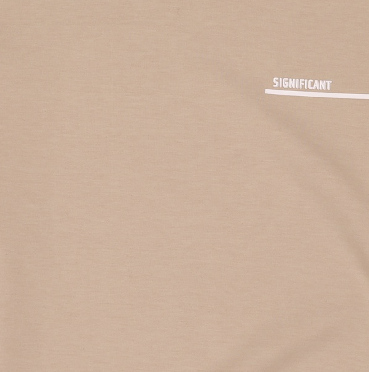 시그니피컨트(SIGNIFICANT) 맨투맨/스웨트셔츠 100
