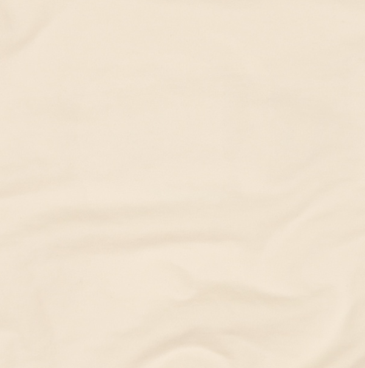오아이오아이 컬렉션(OIOI COLLECTION) SIGNATURE SWEATSHIRTS [CREAM] M