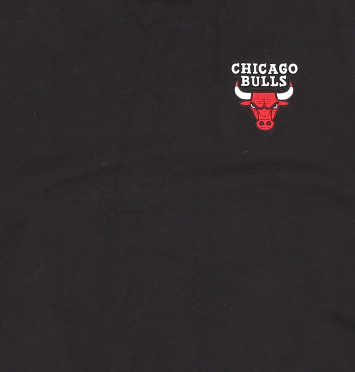 엔비에이(NBA) CHI BULLS 하드우드클래식 로고 맨투맨_N203TS042P L