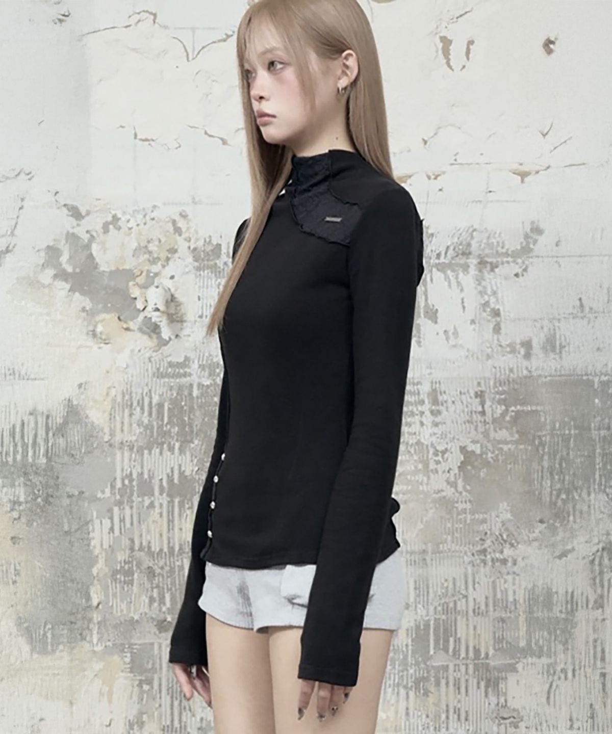 에트오소메(ETRE AU SOMMET) Lace Layer High Neck Slim Long Sleeve (Black)
