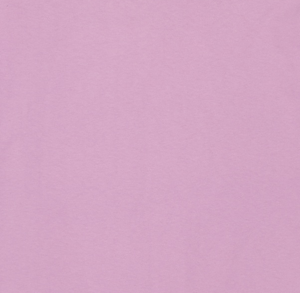 자크뮈스(JACQUEMUS) 반소매 티셔츠 XL