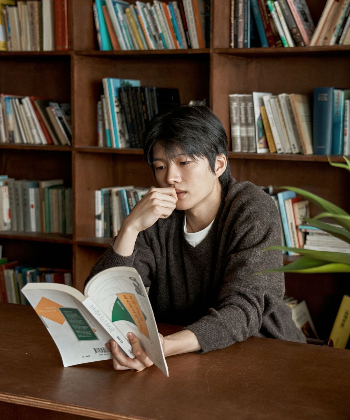 와르(WAAR) M2604 브러쉬드 브이넥 니트_브라운