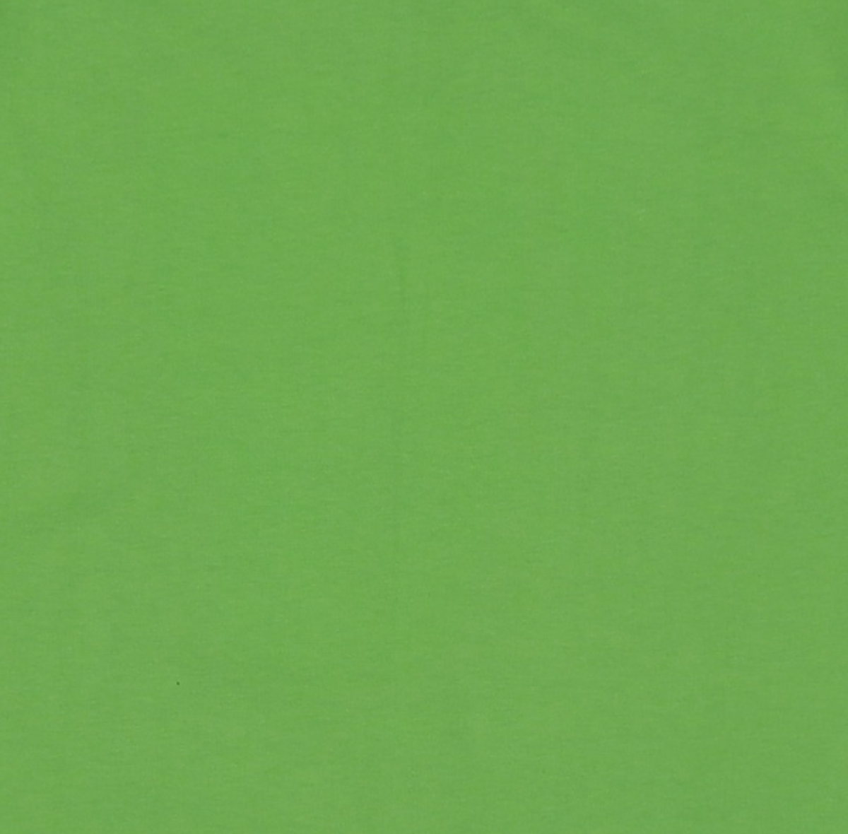 엠엠엘지(MMLG) [Mmlg] CADILLAC AND HORSE HF-T (LAWN GREEN) S