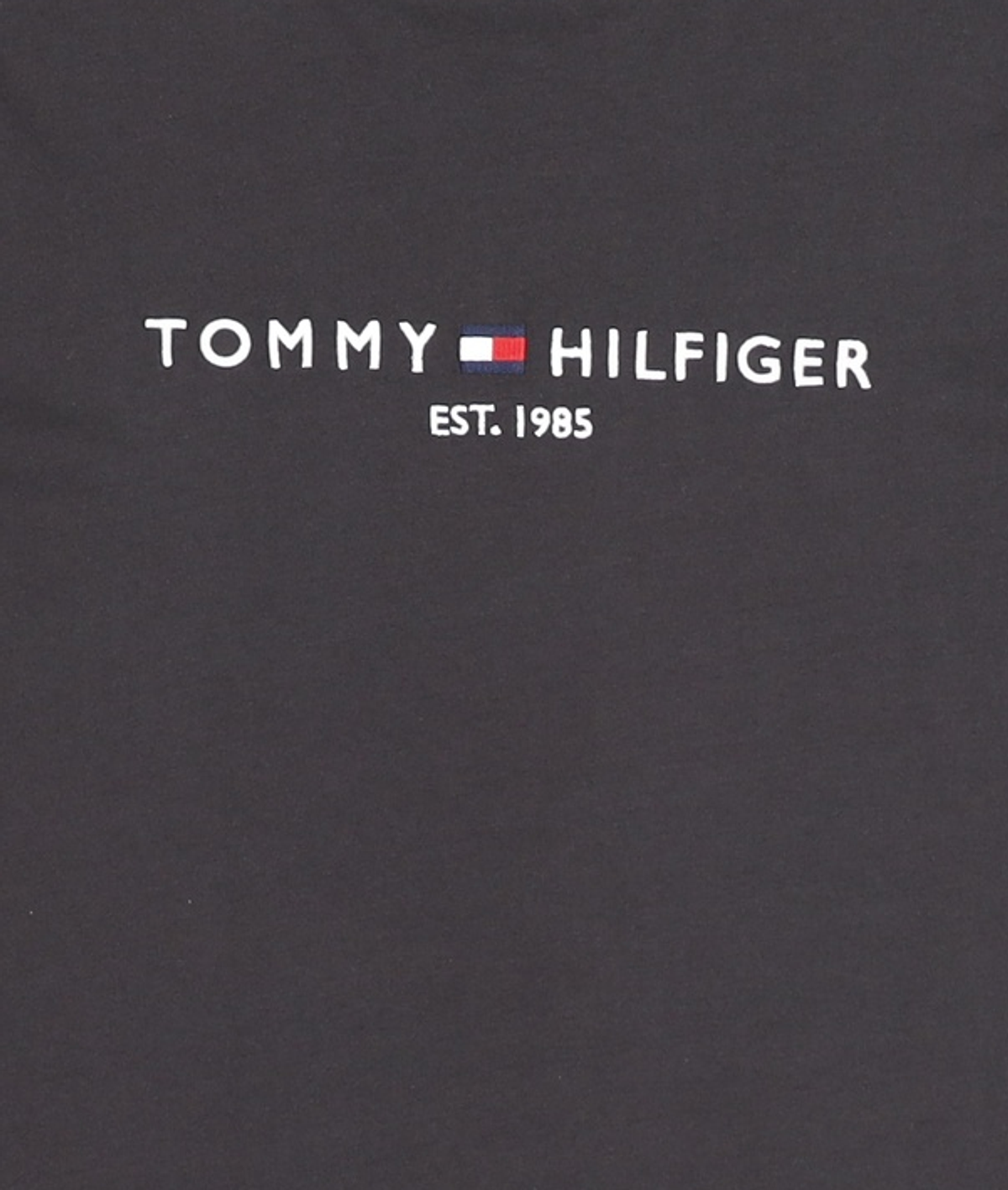 타미힐피거(TOMMY HILFIGER) 반소매 티셔츠 XXL