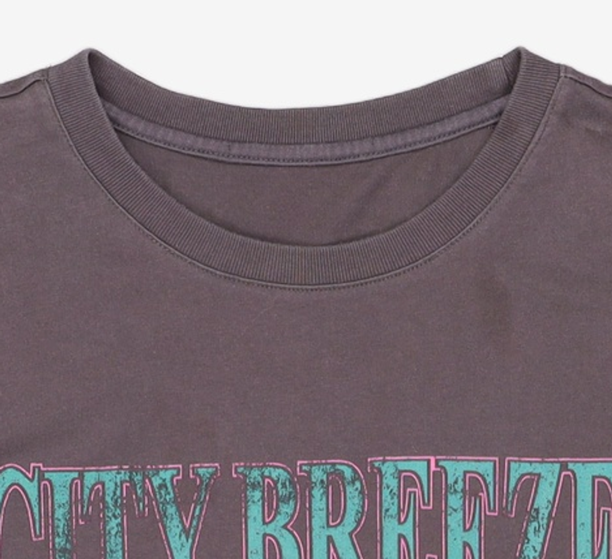 시티브리즈(CITYBREEZE) 반소매 티셔츠 FREE