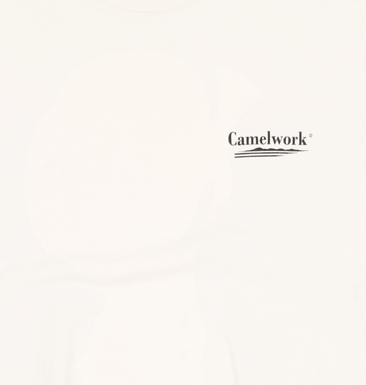 카멜워크(CAMEL WORK) 맨투맨/스웨트셔츠 XL