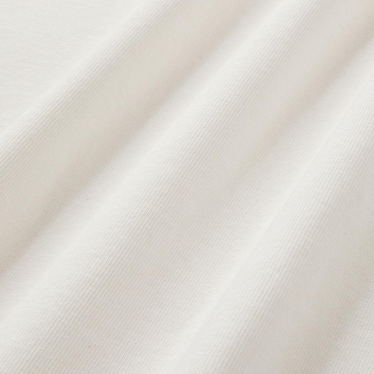보다(BODA) 과학을 보다 생물학 아치 로고 티셔츠 화이트