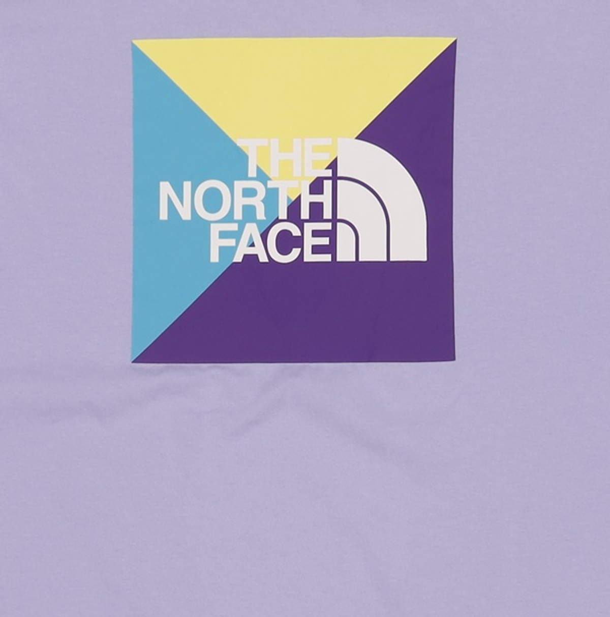 노스페이스(THE NORTH FACE) 반소매 티셔츠 100